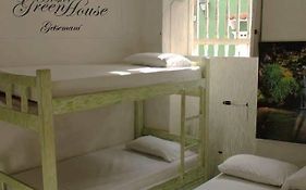 Hostel Green House Getsemani